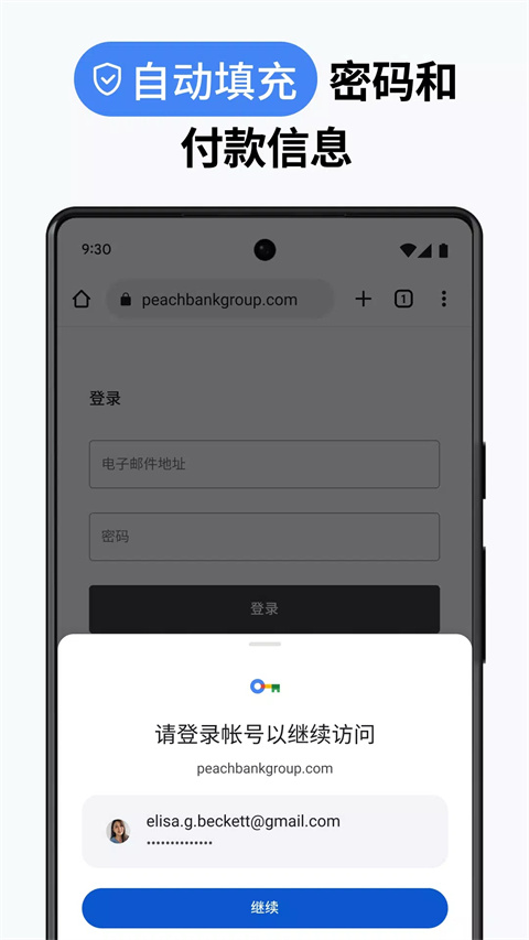 Google Chrome