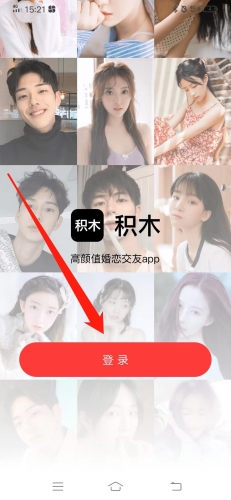 积木