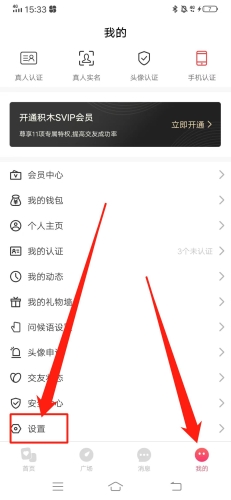 积木