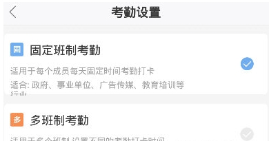 蜂鸟汇报