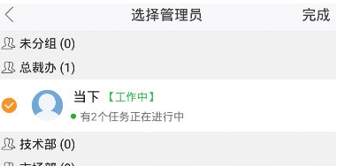 蜂鸟汇报