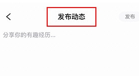 谜圈