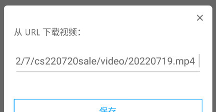 RealPlayer