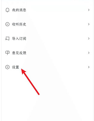 皮艇