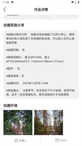 蚂蚁摄影