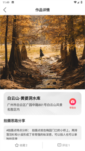 蚂蚁摄影