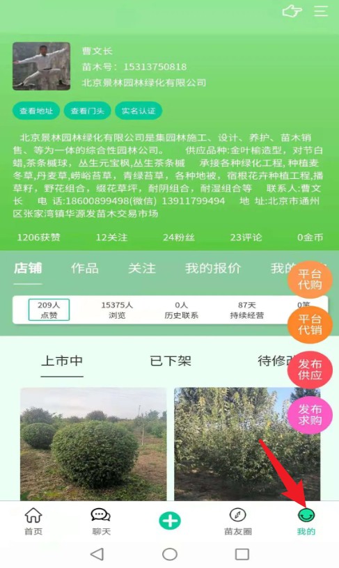 苗木人