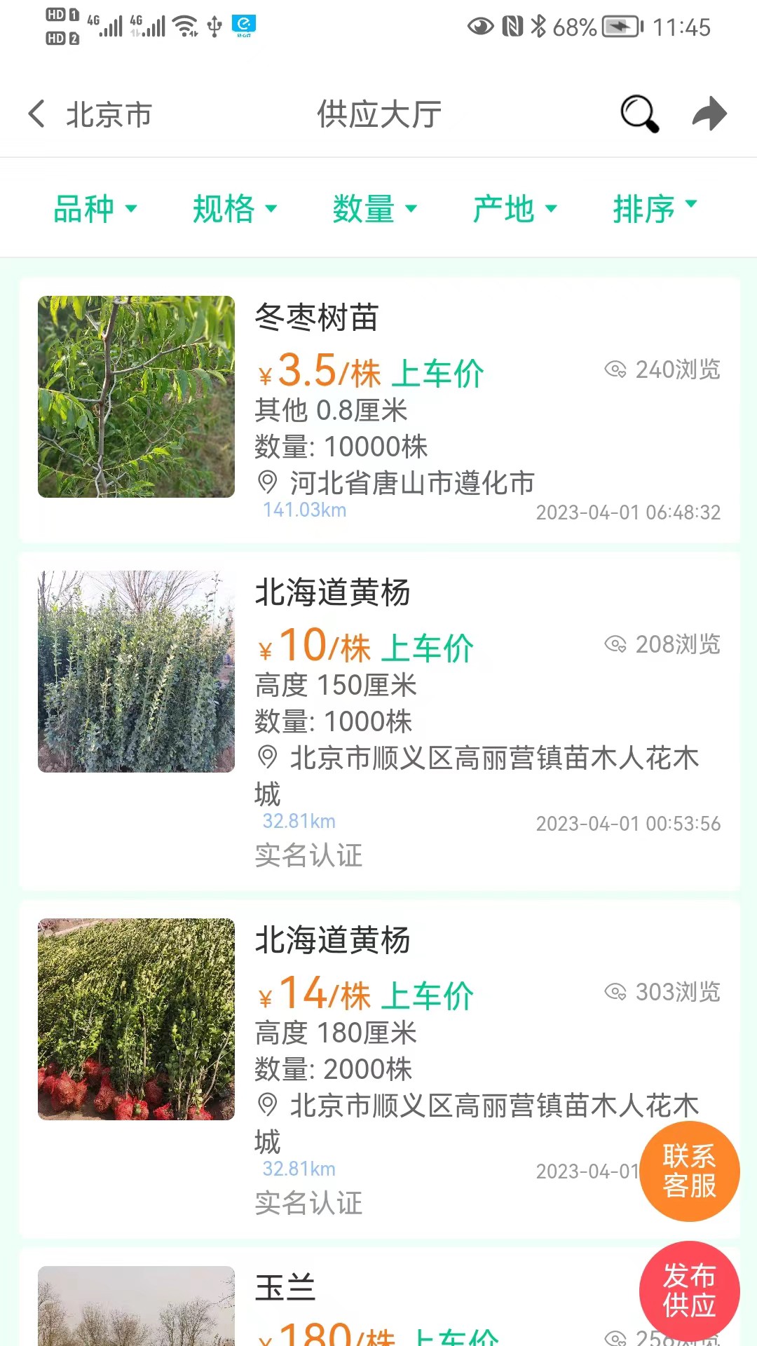苗木人