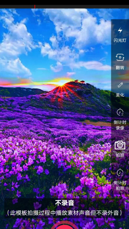 左拍