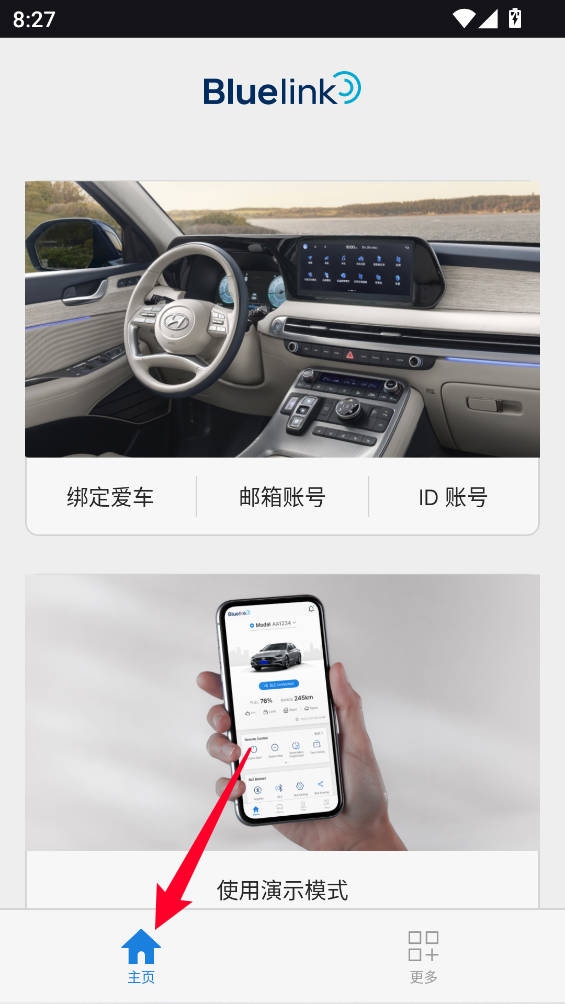 Bluelink
