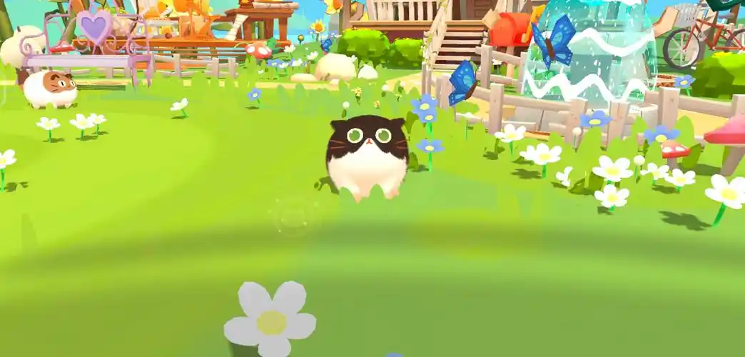 关于猫咪的游戏