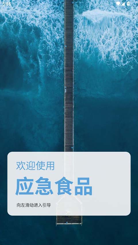 原神应急食品
