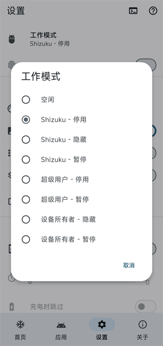 Dhizuku