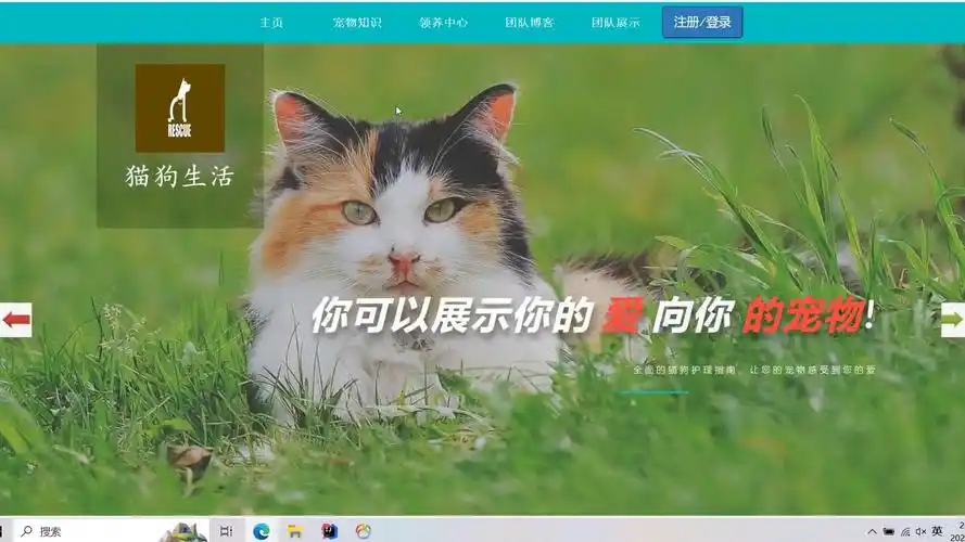 宠物养育平台