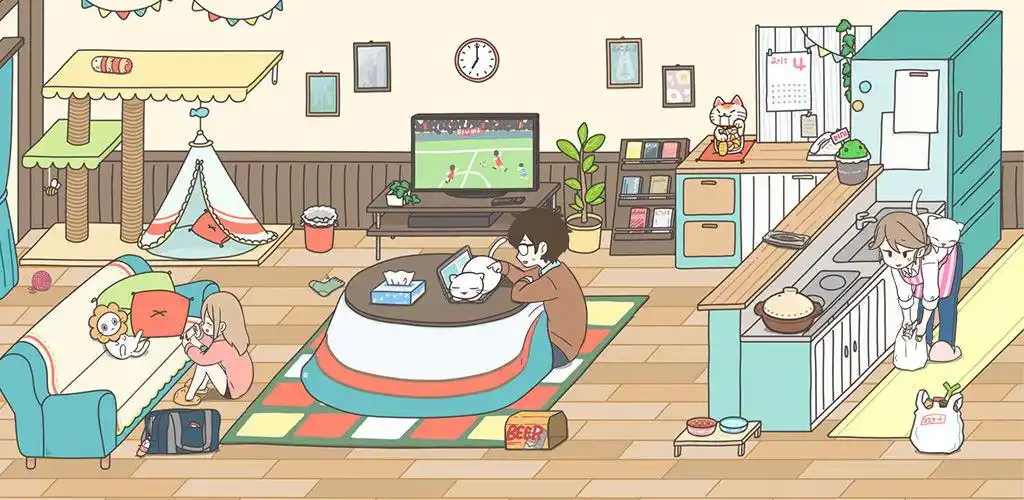猫咪饲养日常