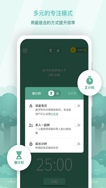 forest专注森林