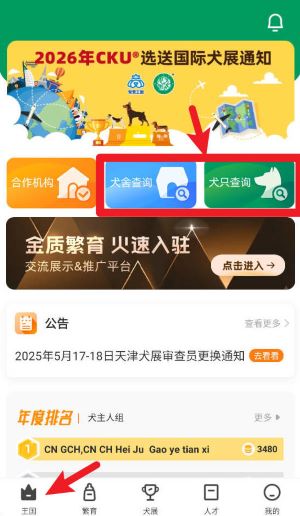 宠爱王国