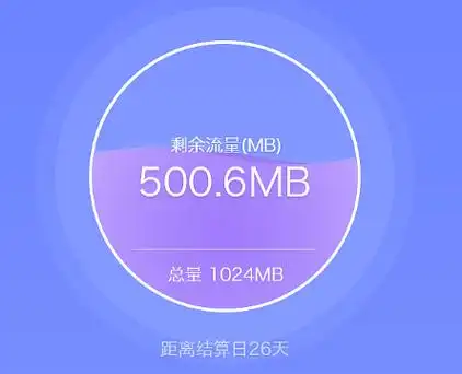 手机流量监控