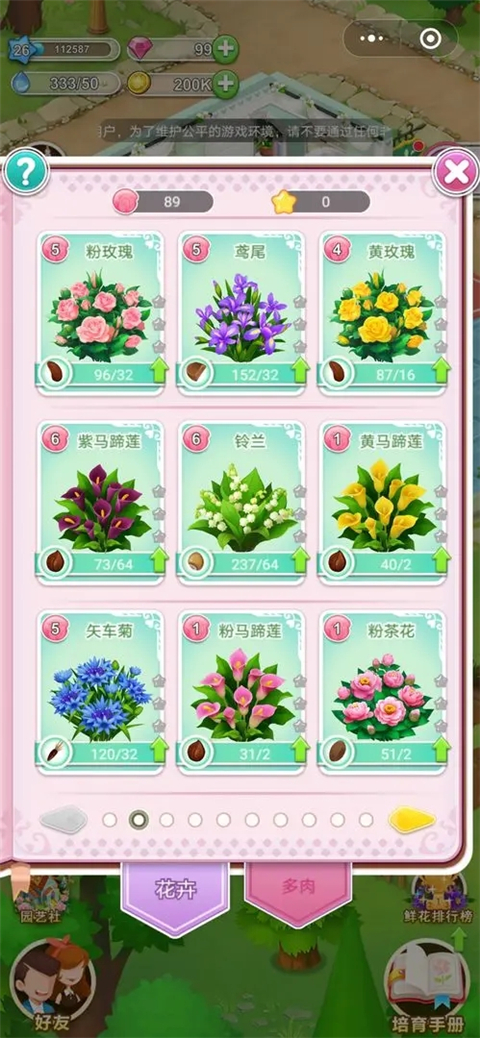 鲜花小镇