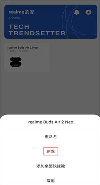 realme link