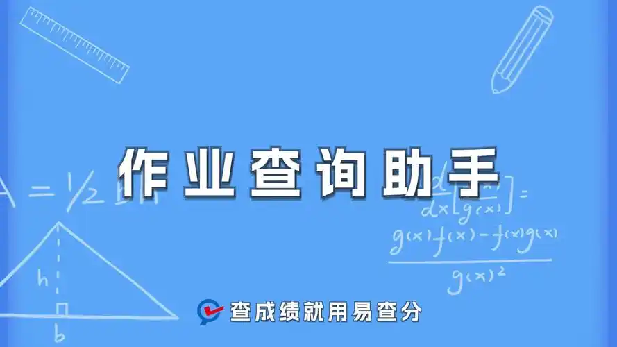 检查作业软件