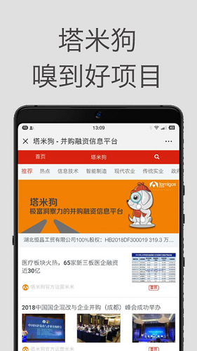 塔米狗