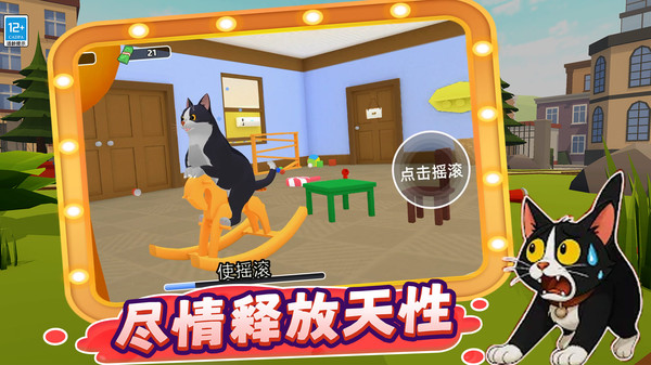 喵喵爱拆家
