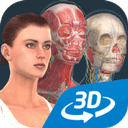 Humanbody