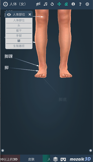 Humanbody