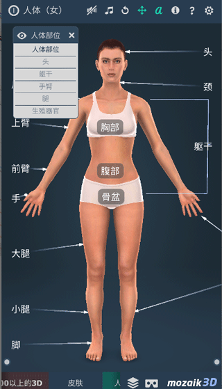 Humanbody