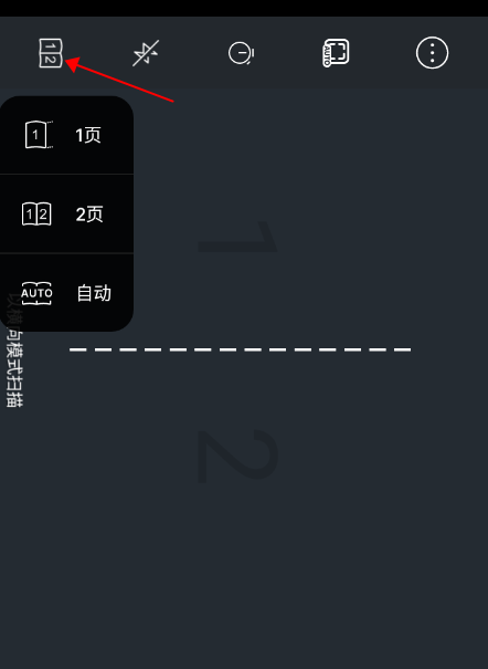 vflat scan