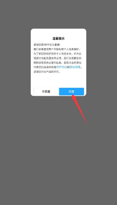 PP论文查重