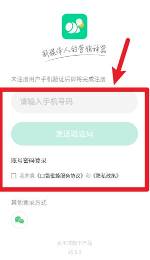 口袋蜜蜂
