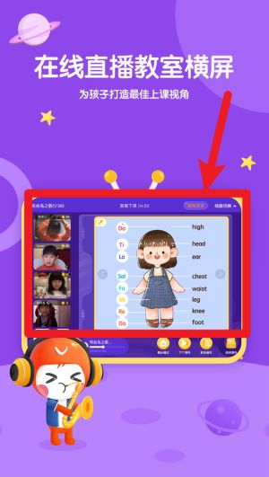 海豚音乐
