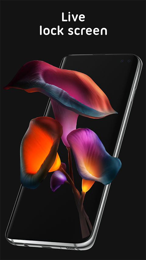 pixel 4d壁纸