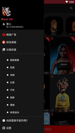 pixel 4d壁纸