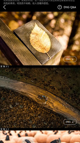 滤镜君LR
