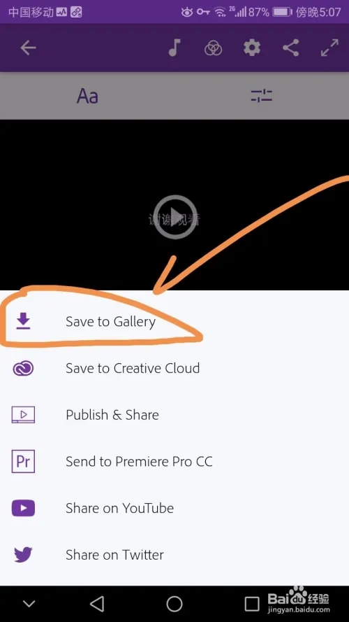 Premiere Clip
