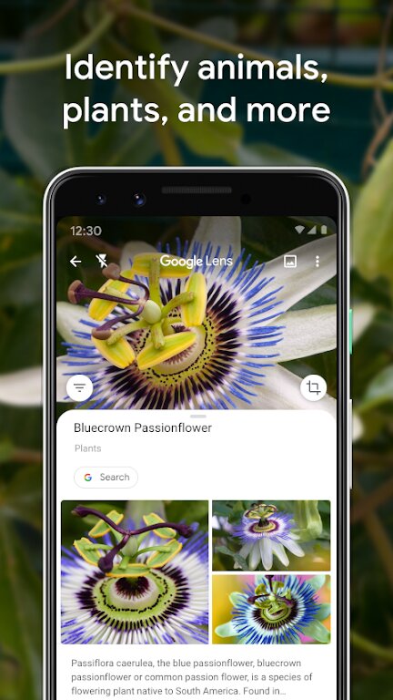 google lens