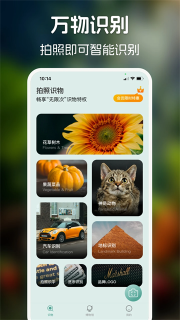 识花君