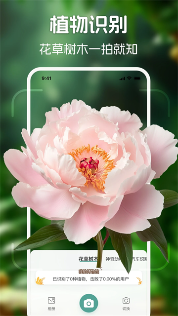 识花君