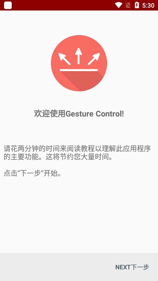 Gesture Control