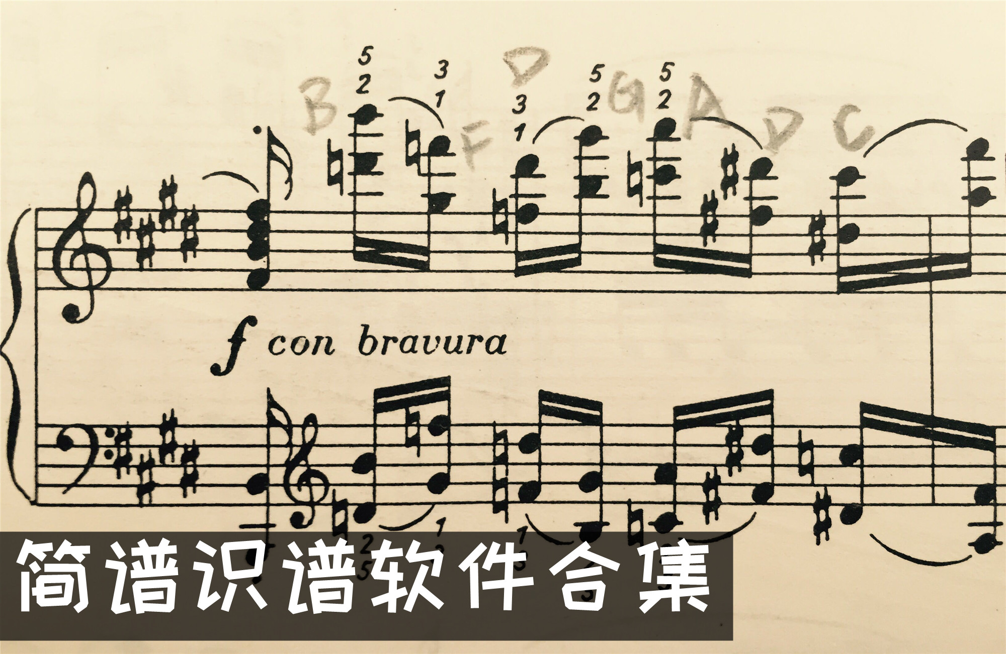 乐谱教学