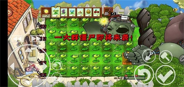植物大战僵尸核弹版