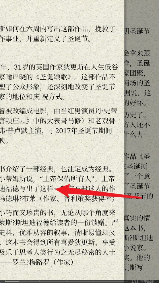 爱书猫
