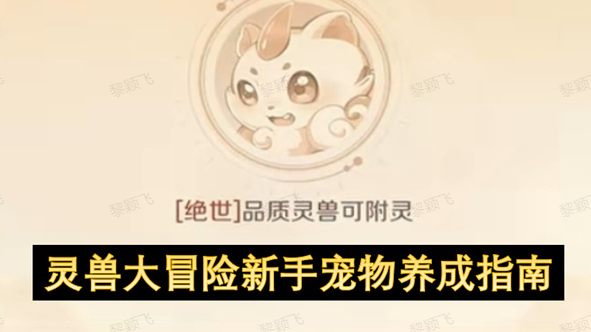 灵兽大冒险新手宠物养成指南