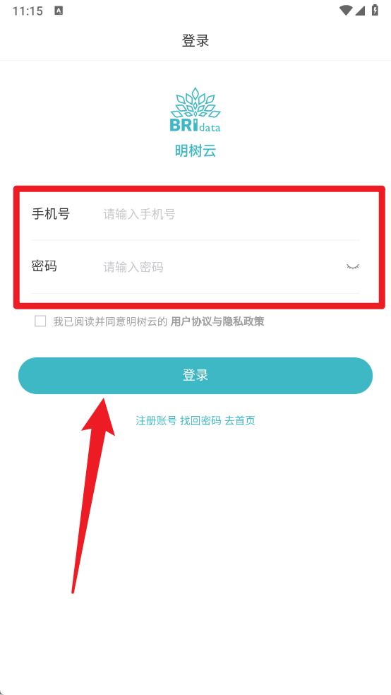 明树云