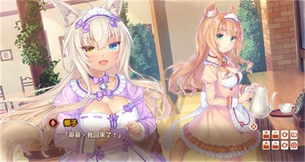 猫娘角色介绍2