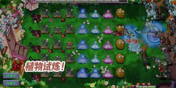 植物大战僵尸共生版