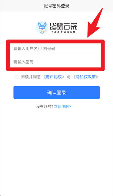 袋鼠云采